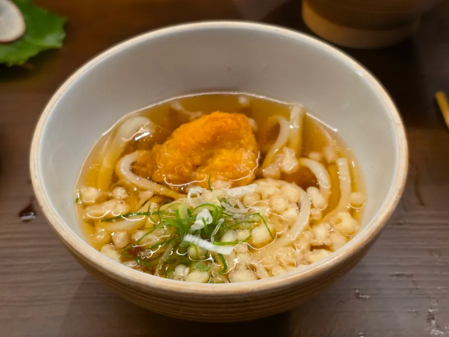 Udon served alongside the kaisendon
