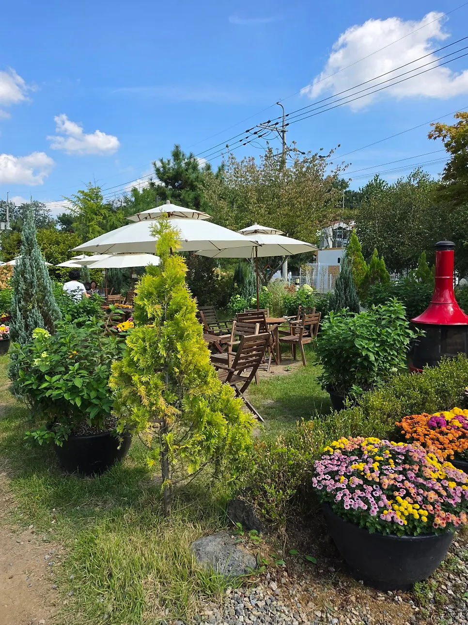 Outdoor tables arranged among the garden