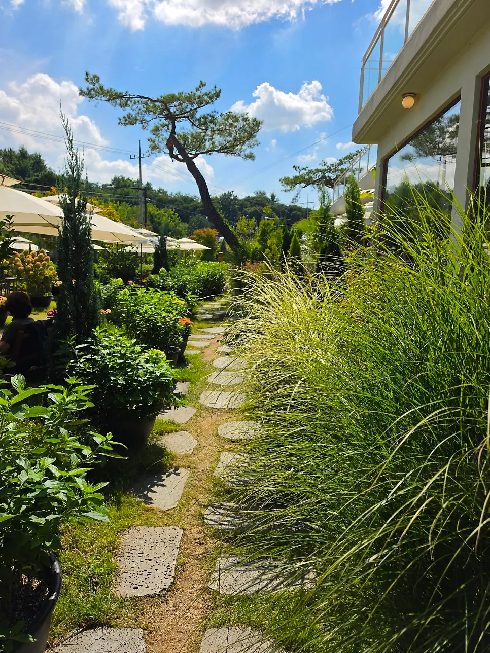 Table separated by landscaping