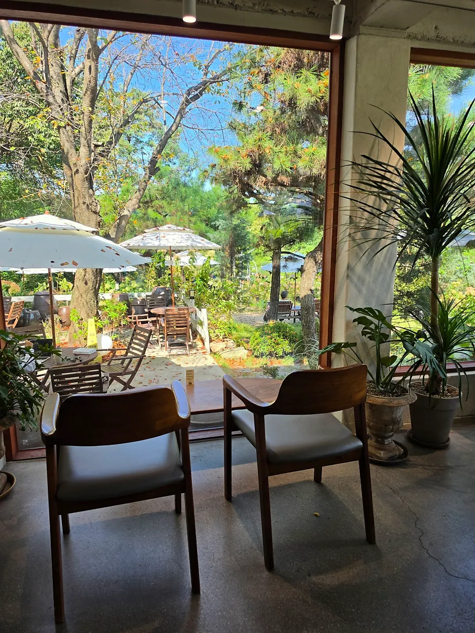 View of the garden from the terrace