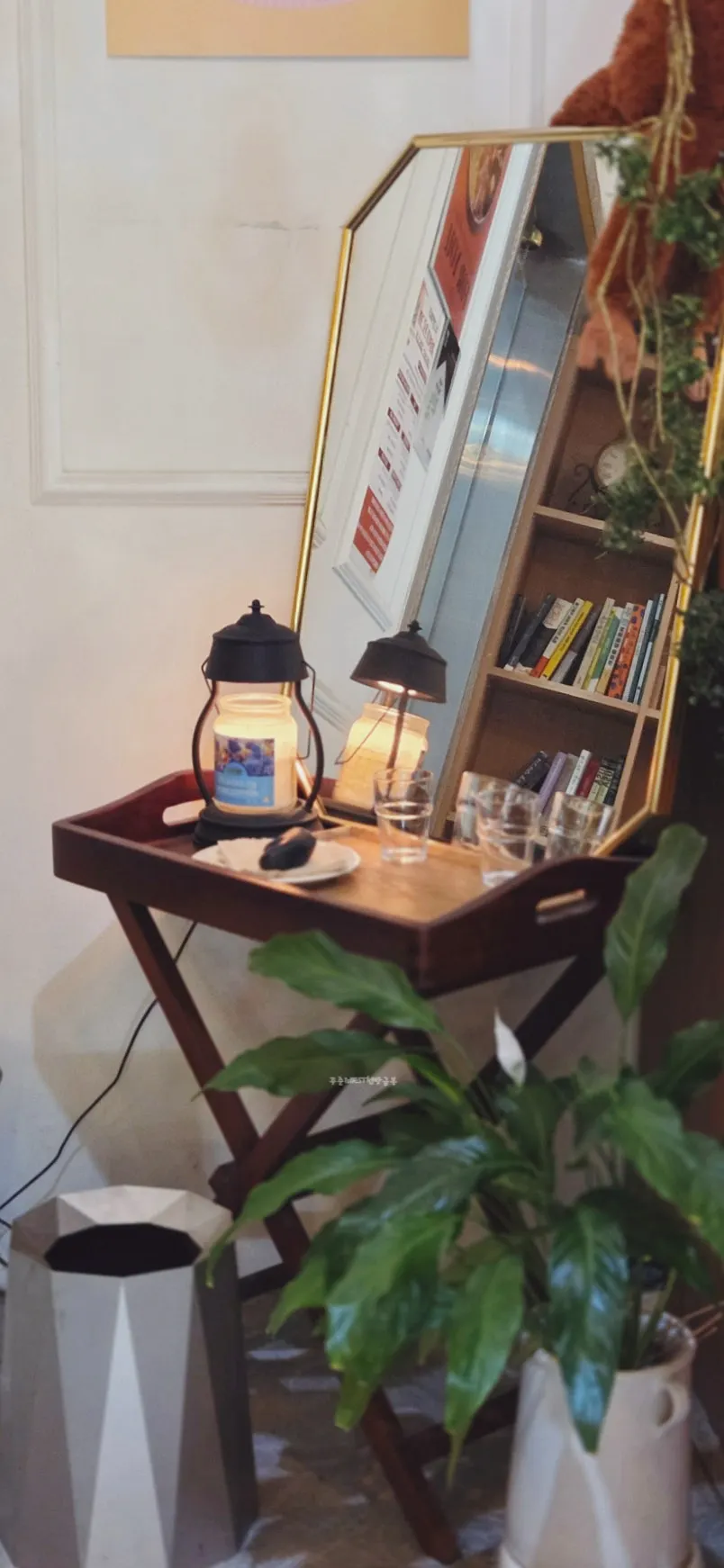 Plant-decorated cozy corner at Like Like Juyeop Branch