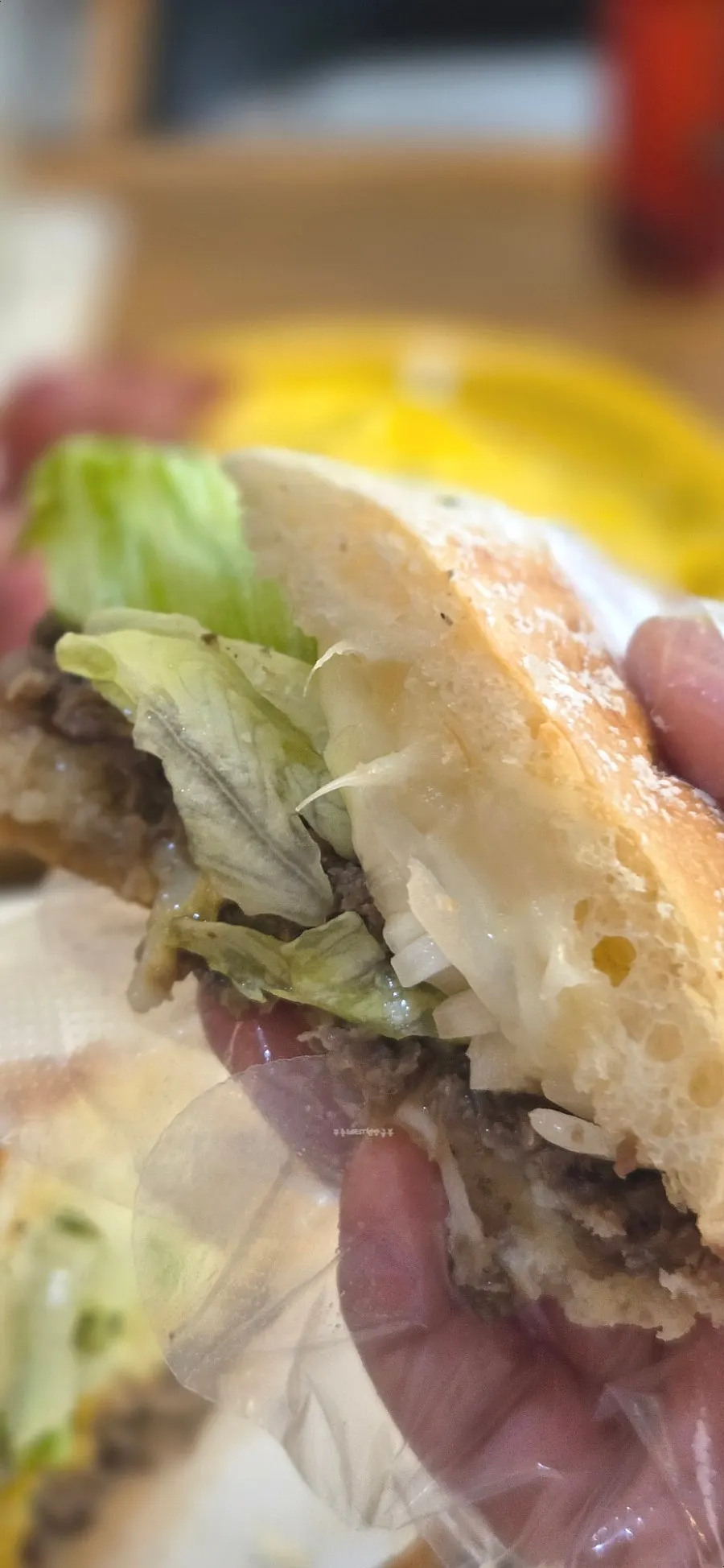 Close-up of the BEST beef double cheese panini