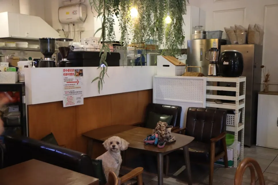 View of the store with a dog-accompanied customer staying inside