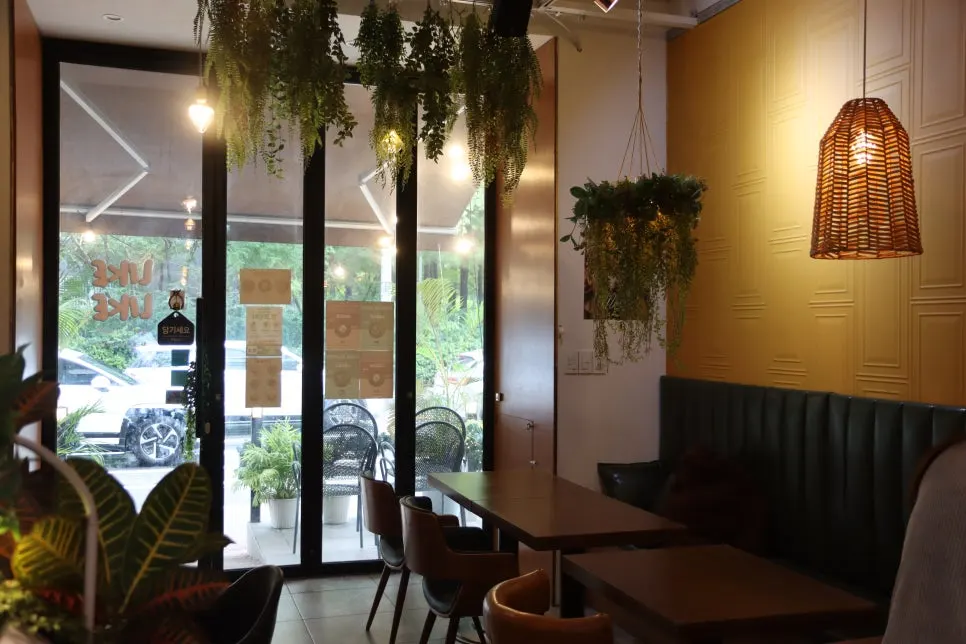Comfortable interior atmosphere of the dog-friendly café