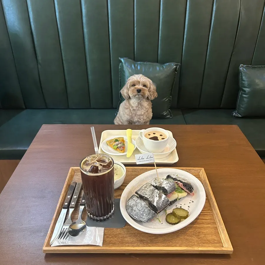 Storefront view of Like Like Juyeop, a dog-friendly café in Ilsan