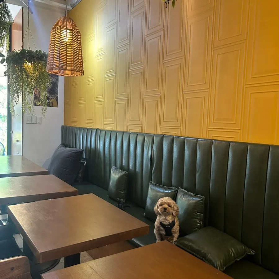 Cozy café interior with sofa seating