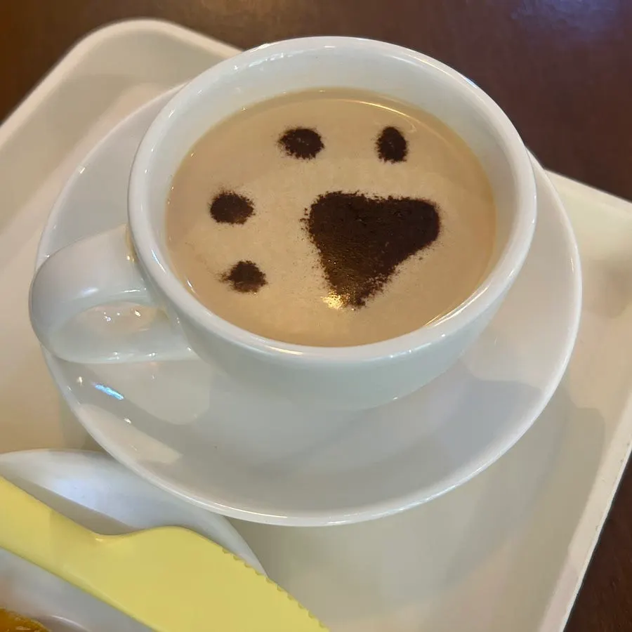 A cup of lactose-free mung-puccino