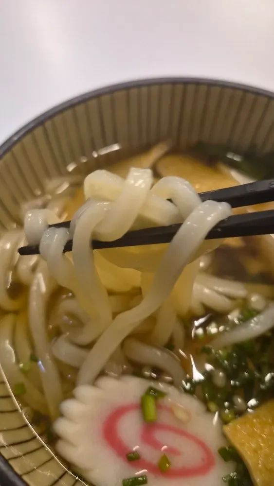 Udon with fried tofu skin and skewered fish cake