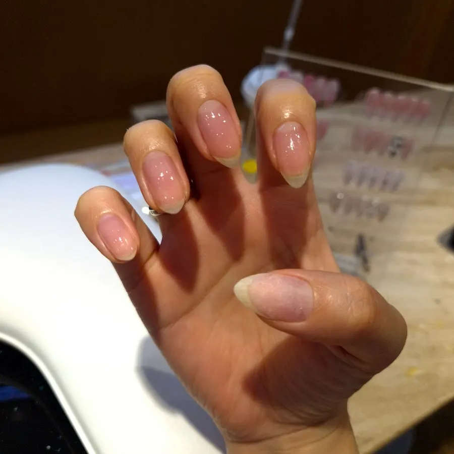 프라이머 도포 과정