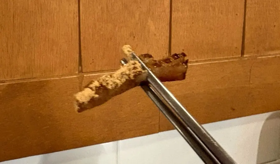 노릇하게 구워진 껍데기