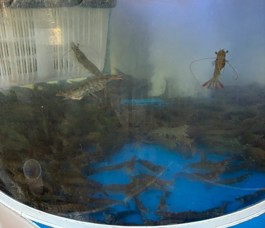 Full view of Veteran General Fish Market Incheon Guwol Branch