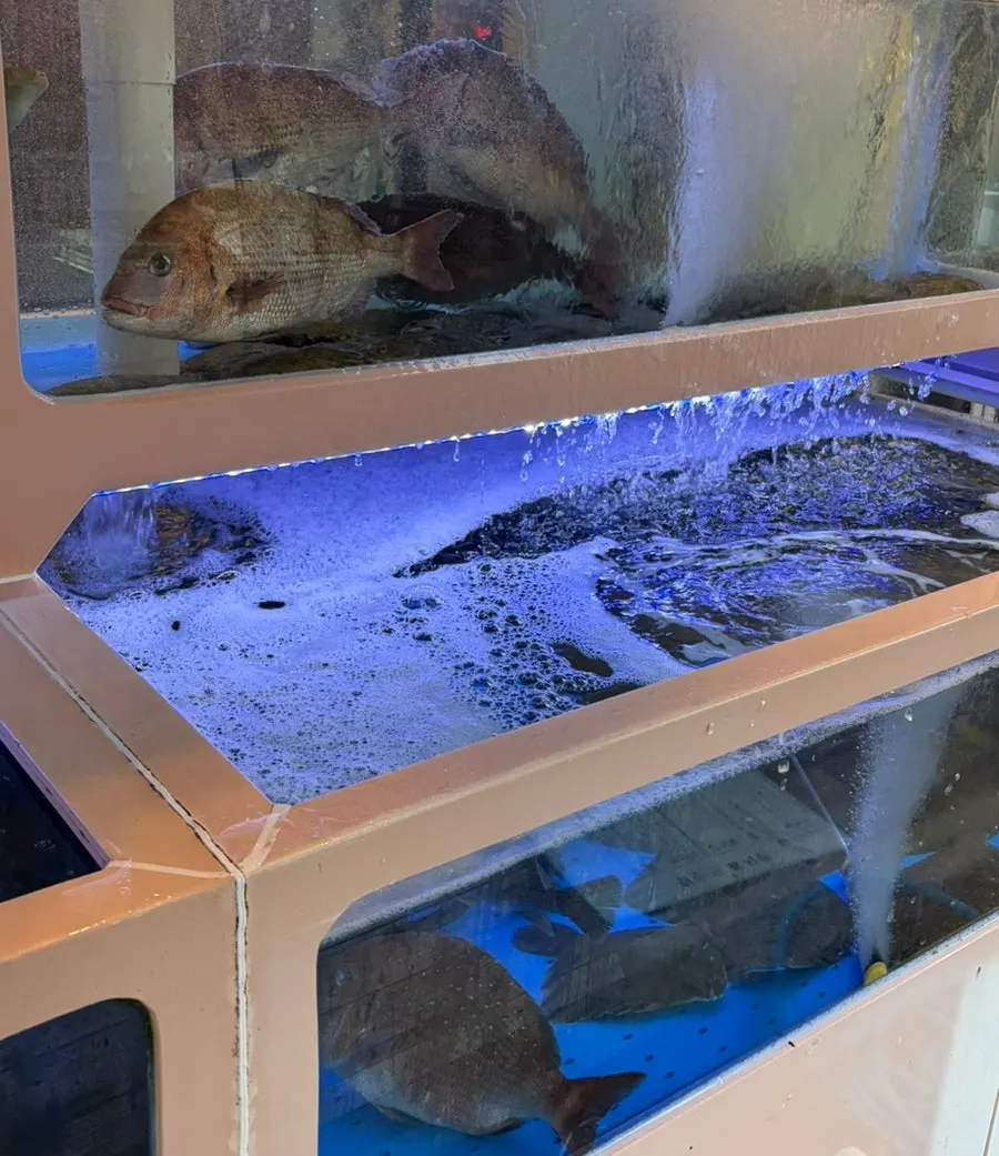 Fish tank with raw shrimp swimming inside
