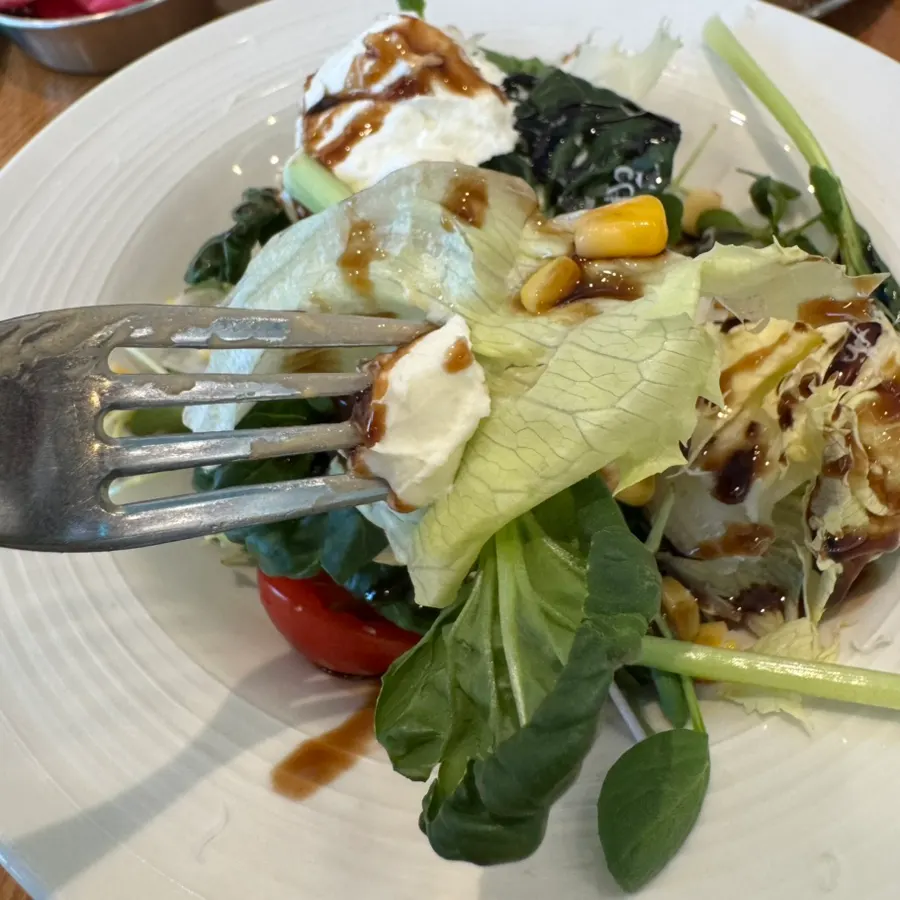Ricotta house salad