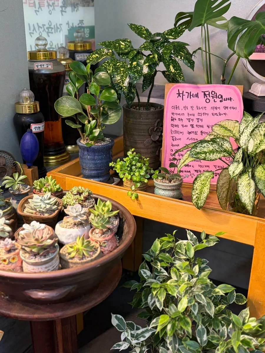 차가네쌈밥 메뉴판