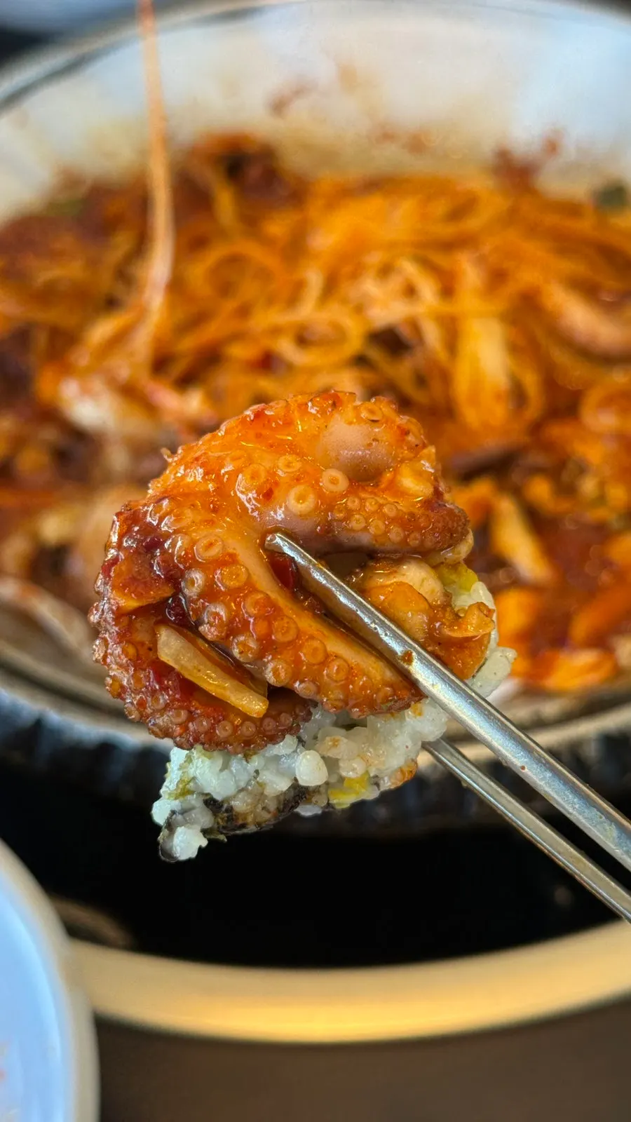 Rice balls that pair well with webfoot octopus
