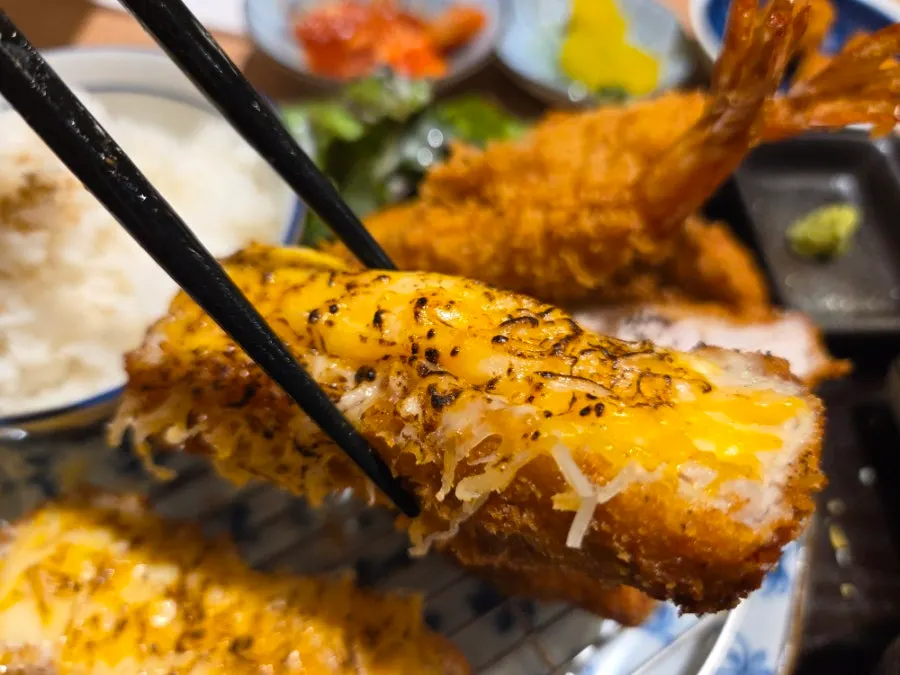 Full assorted katsu B set