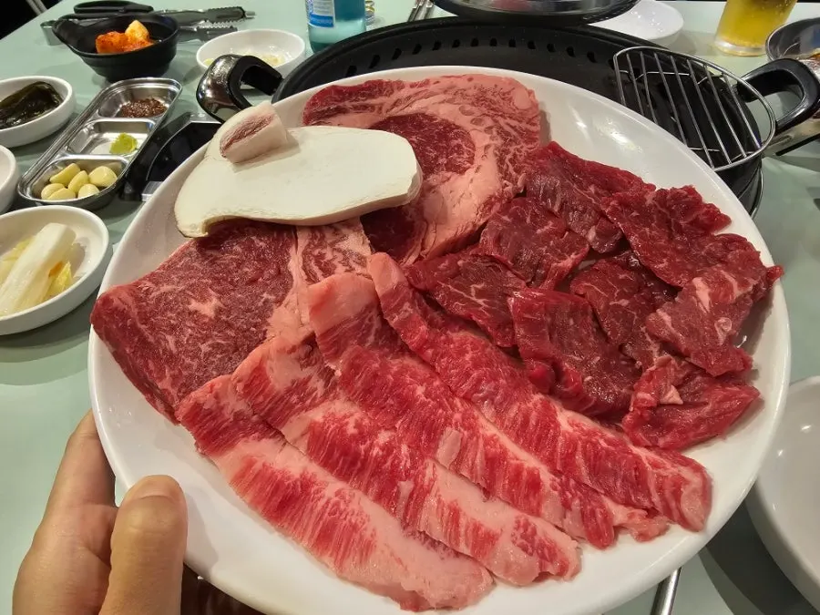 Plate of assorted hanwoo, 400g of sirloin, brisket point and skirt steak