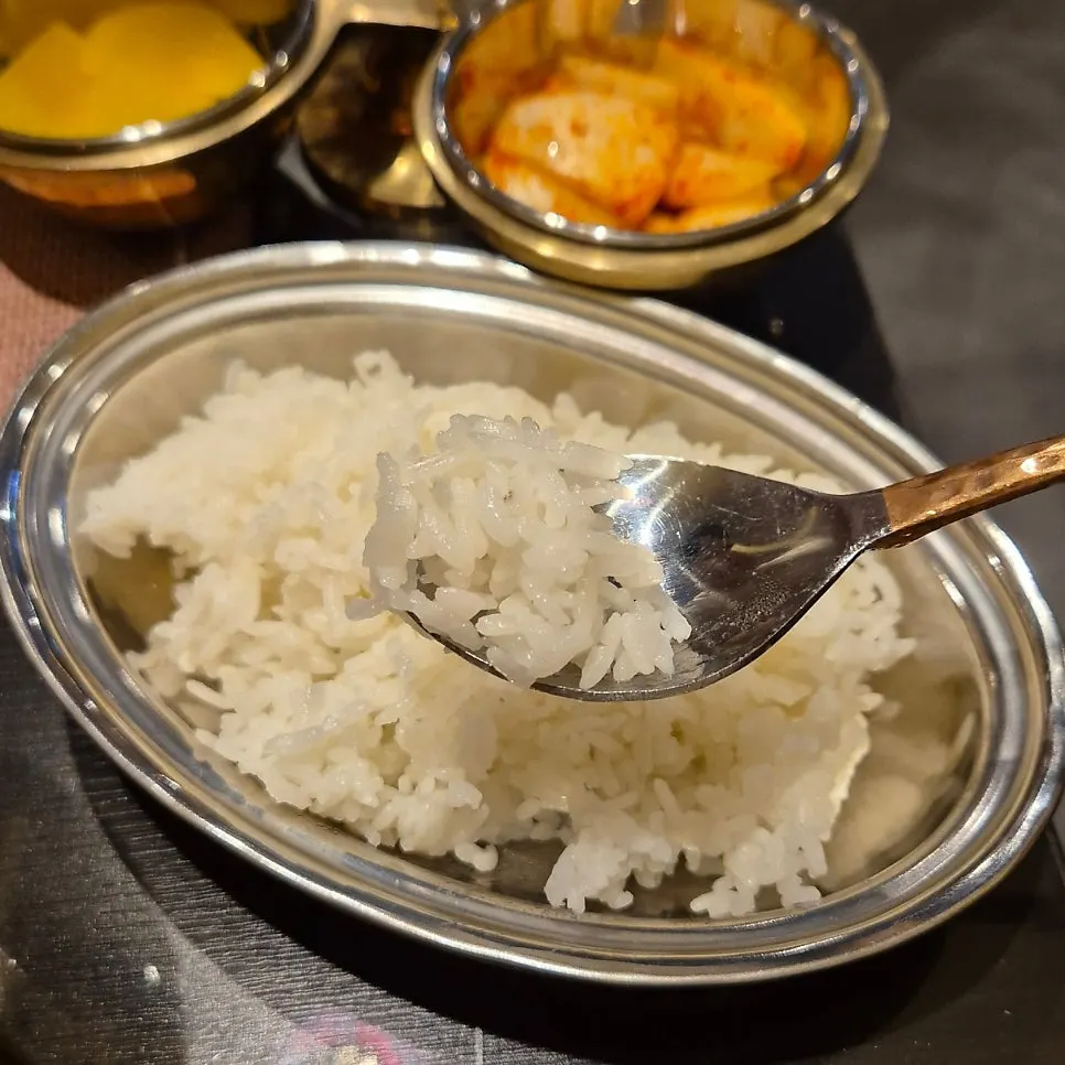A plate with curry and rice together