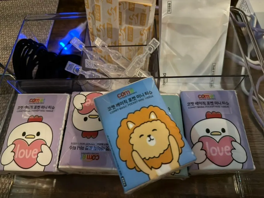 Pocket tissues and wet wipes provided at Janhyang