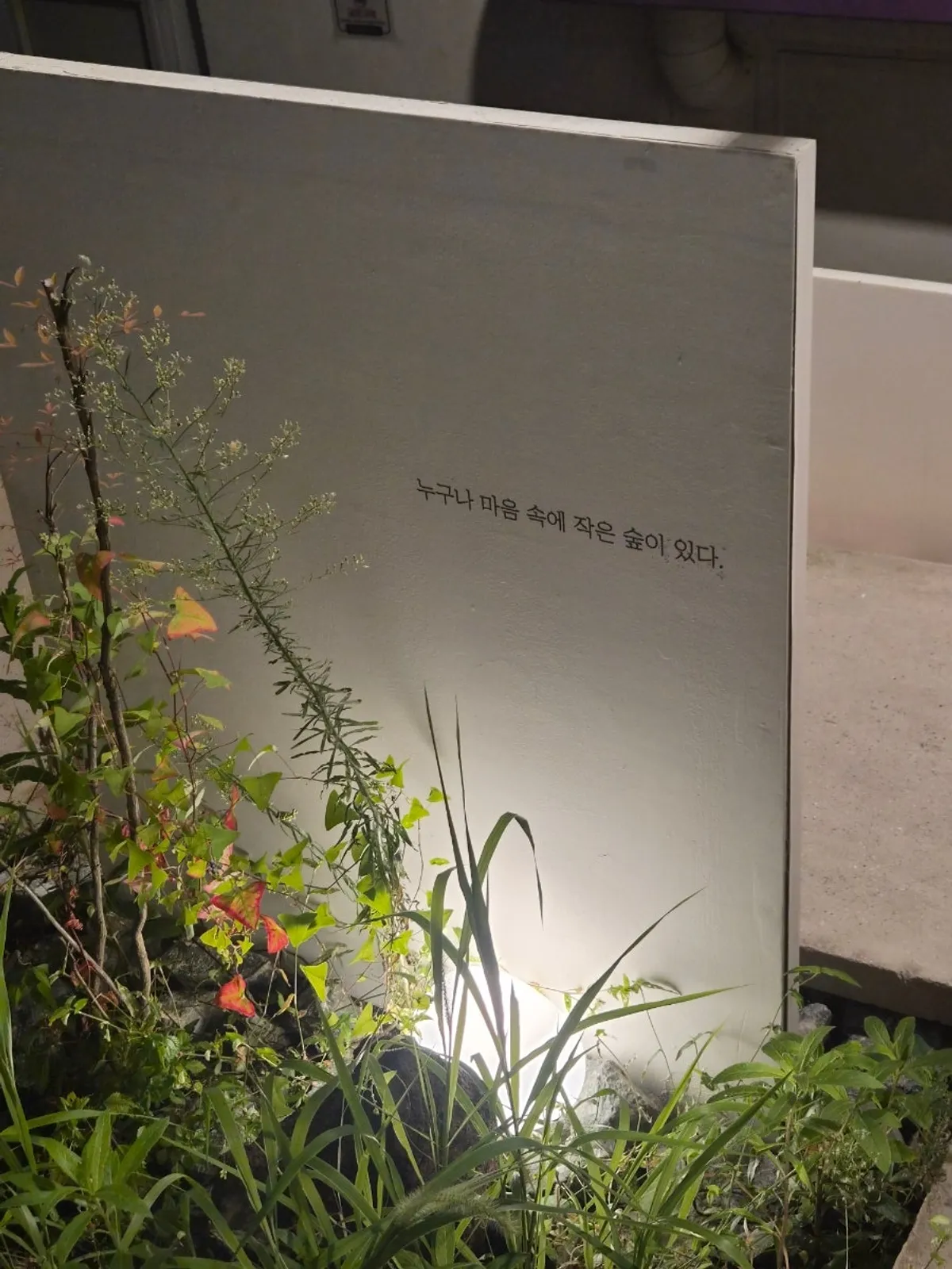 A café space at Naemyeonui Balgyeon designed around a small-forest theme