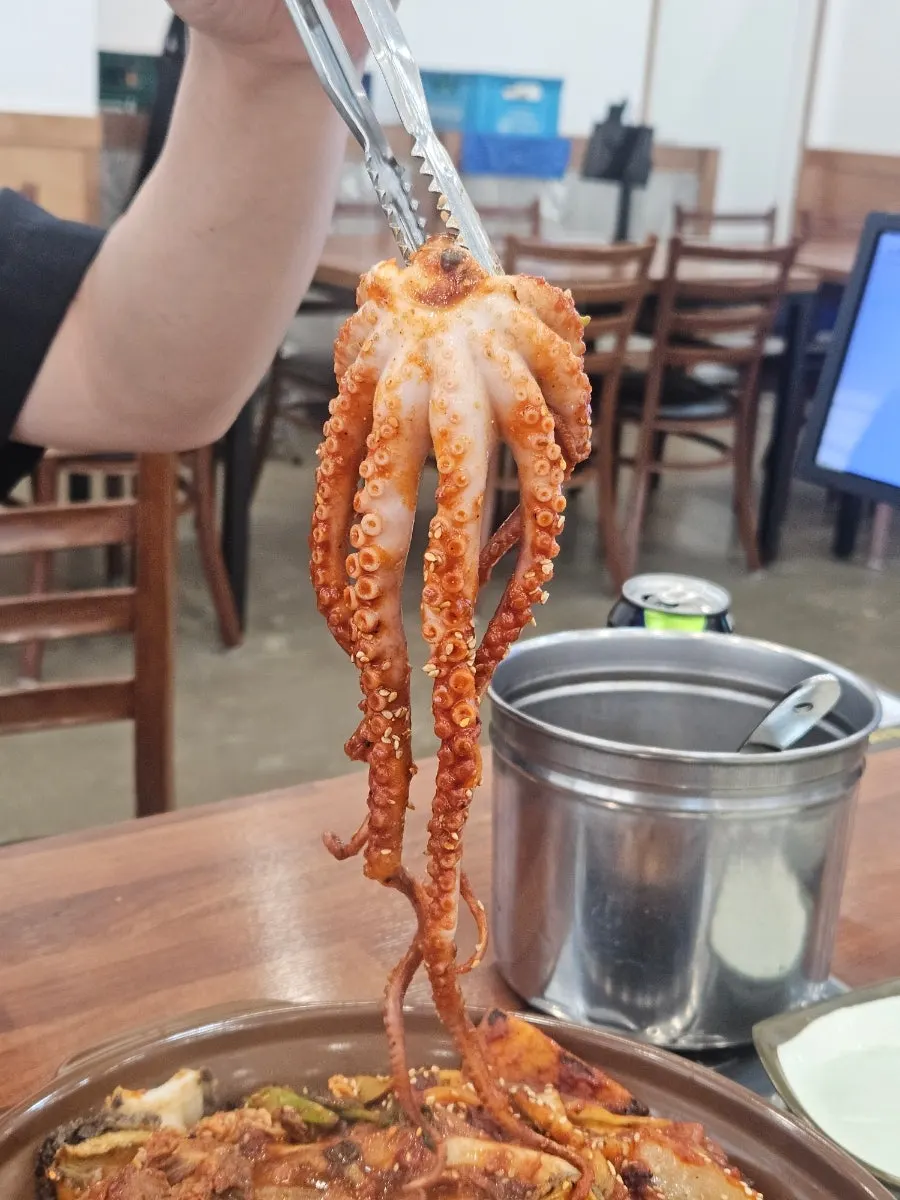 A whole octopus in the stew