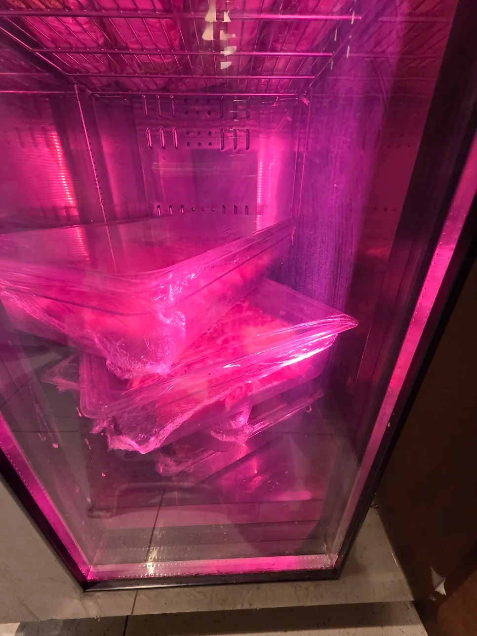 Refrigerator dedicated to meat aging