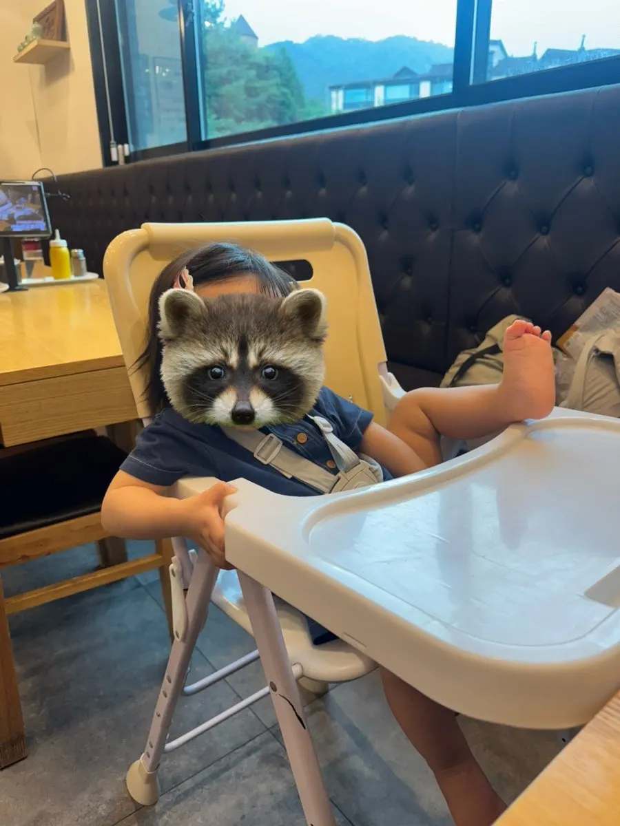 Baby chair set up in the restaurant