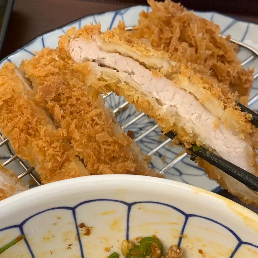Close-up of a piece of tonkatsu