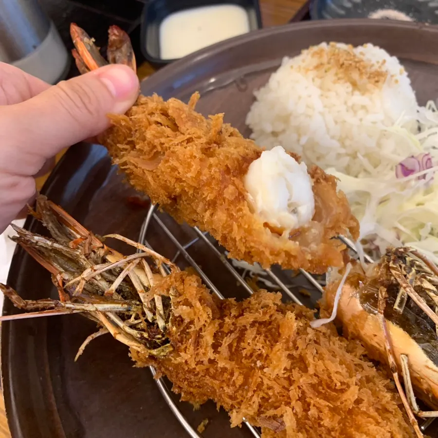 Leftover mazesoba udon and tonkatsu on the plate