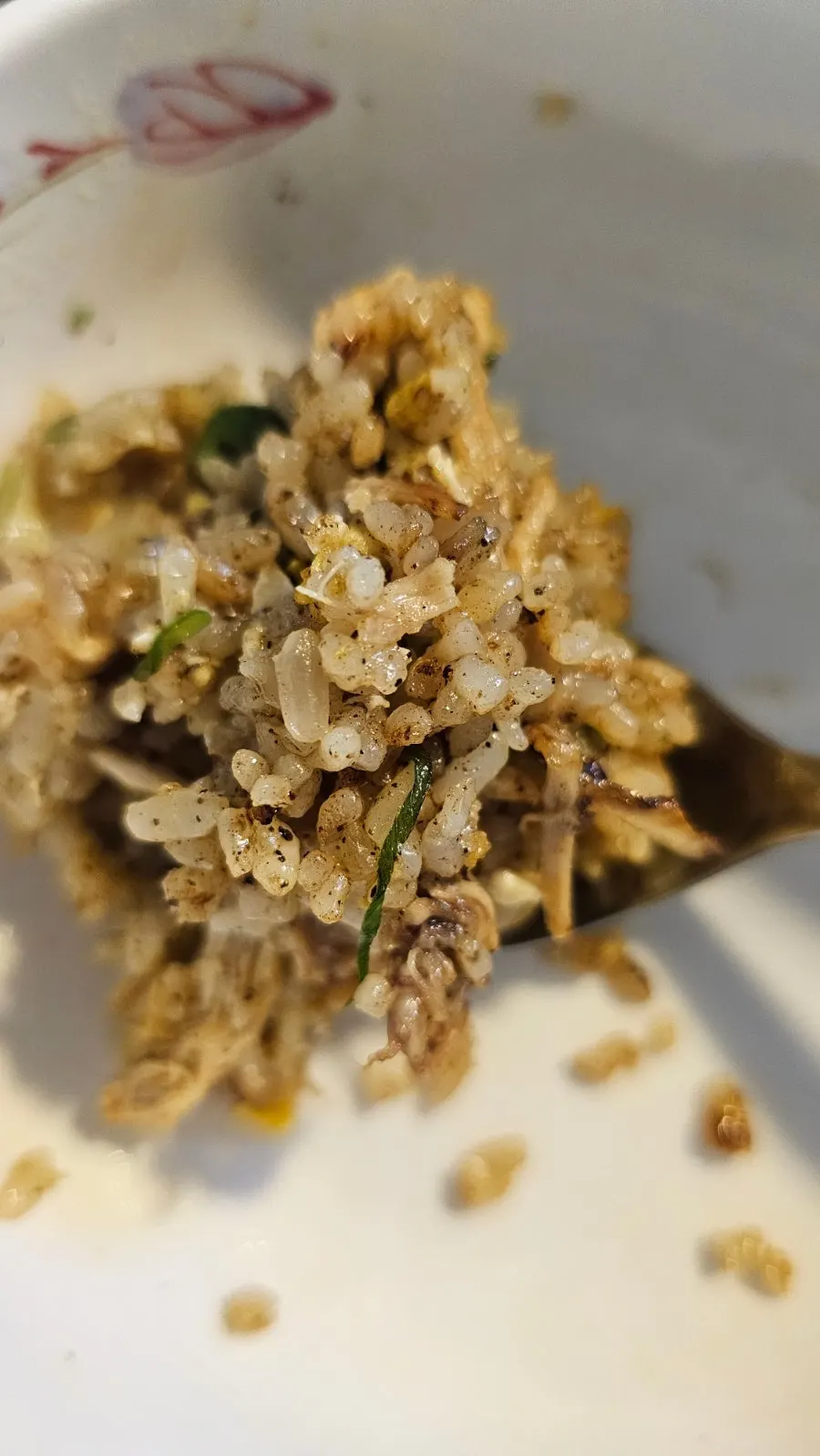 Plate of chicken fried rice