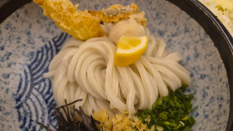 Refreshing cold udon