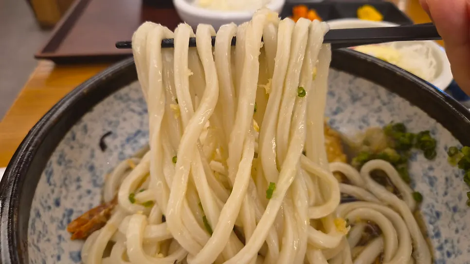 Udon noodles eaten with tsuyu