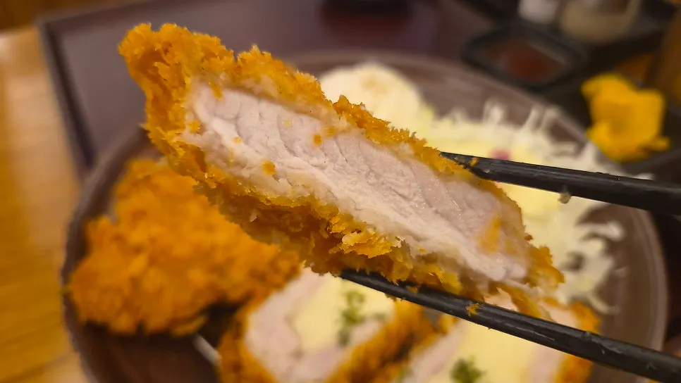 Tonkatsu served with salt and wasabi