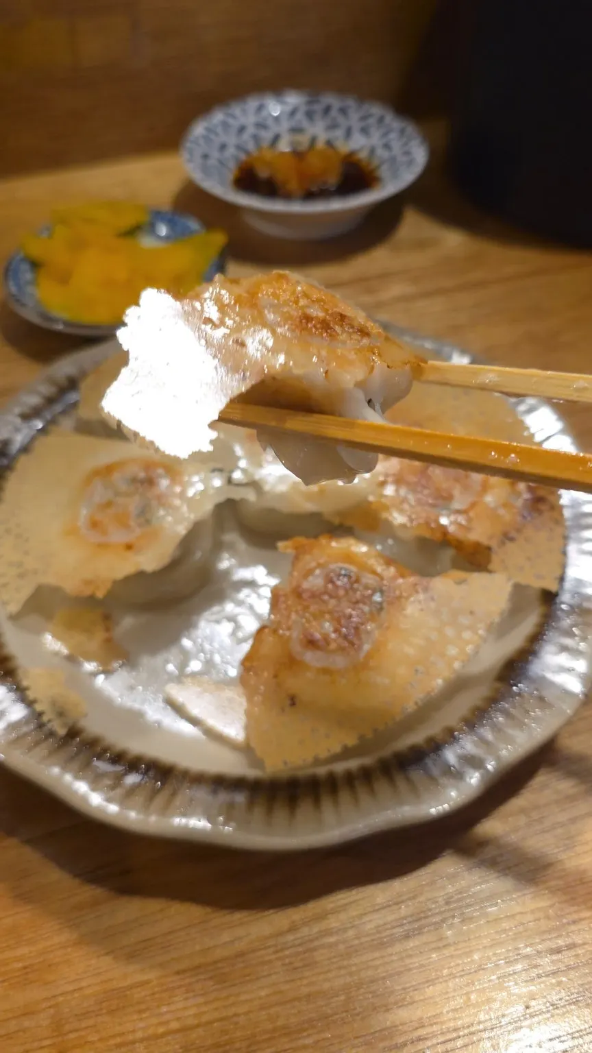Ramen with gyoza on the side
