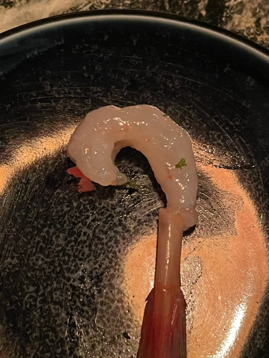 이토 모듬사시미 플레이팅