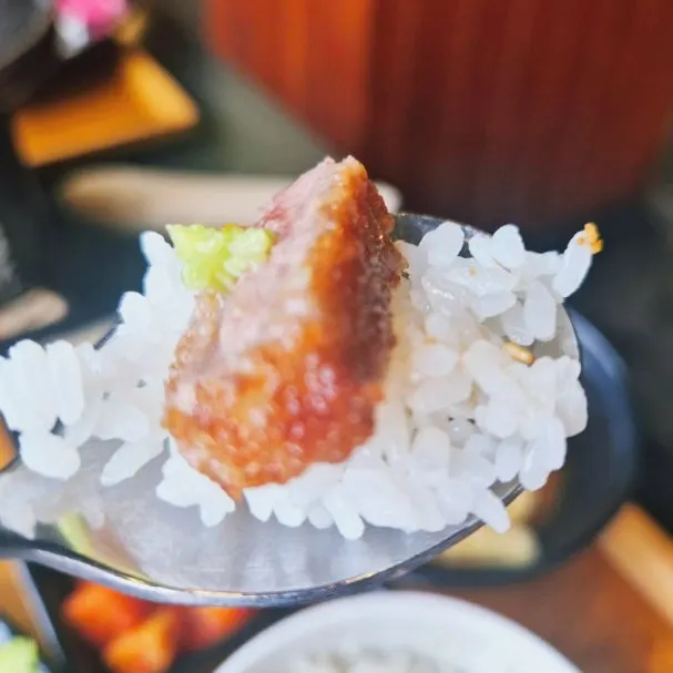Gyukatsu eaten together with salad