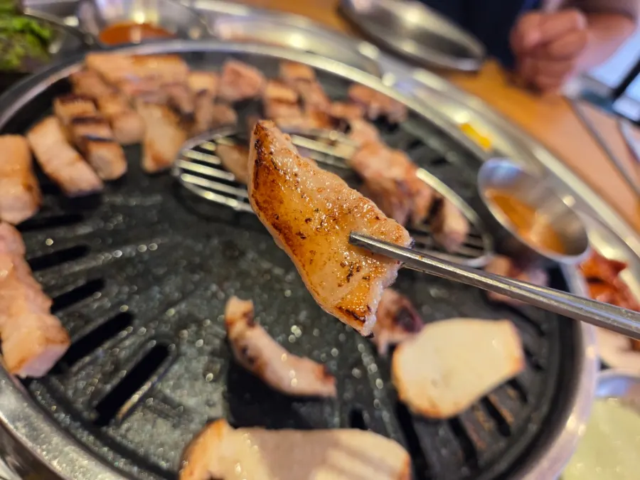 A pan of nicely browned grilled meat