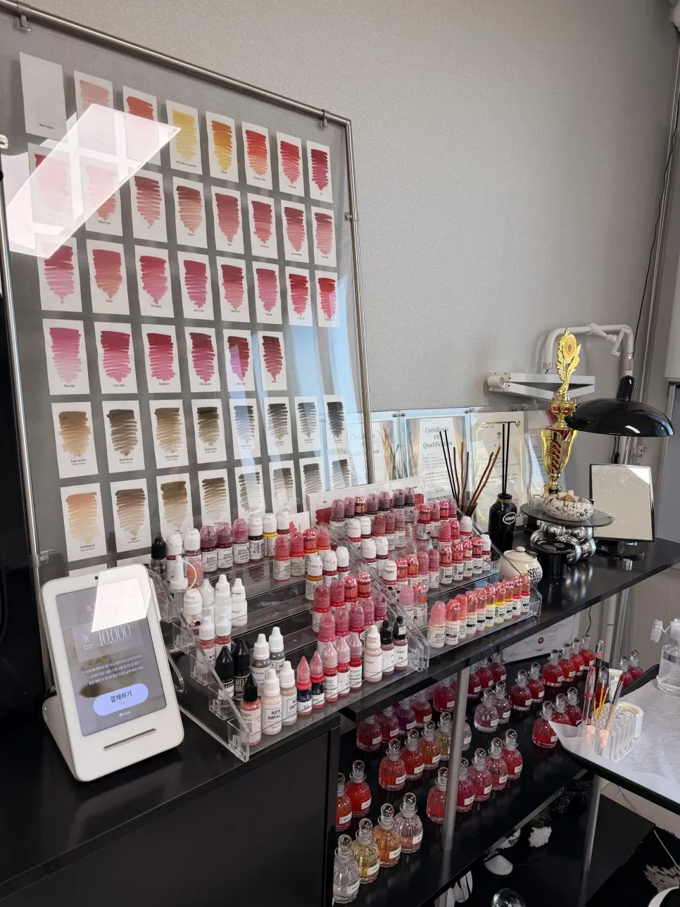Lip tattoo consultation materials