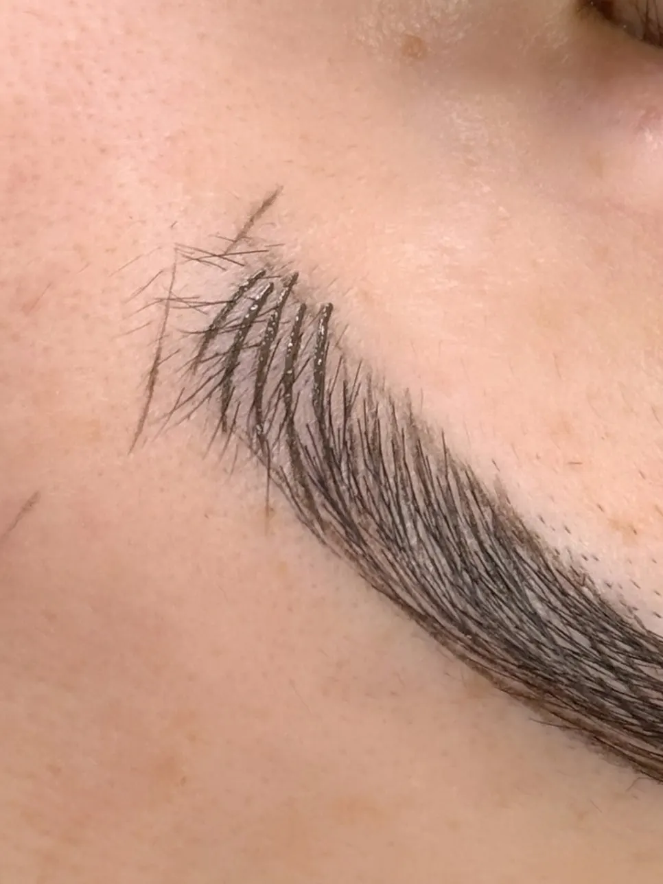 The director performing the combo eyebrow tattoo procedure