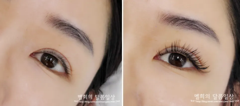 잠실 속눈썹 연장 로제래쉬 시술 결과 대표 이미지