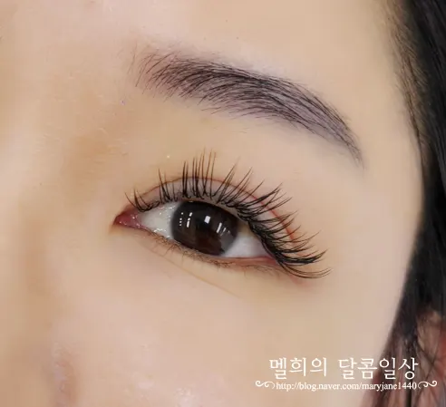 속눈썹 연장 후 눈매 애프터 사진