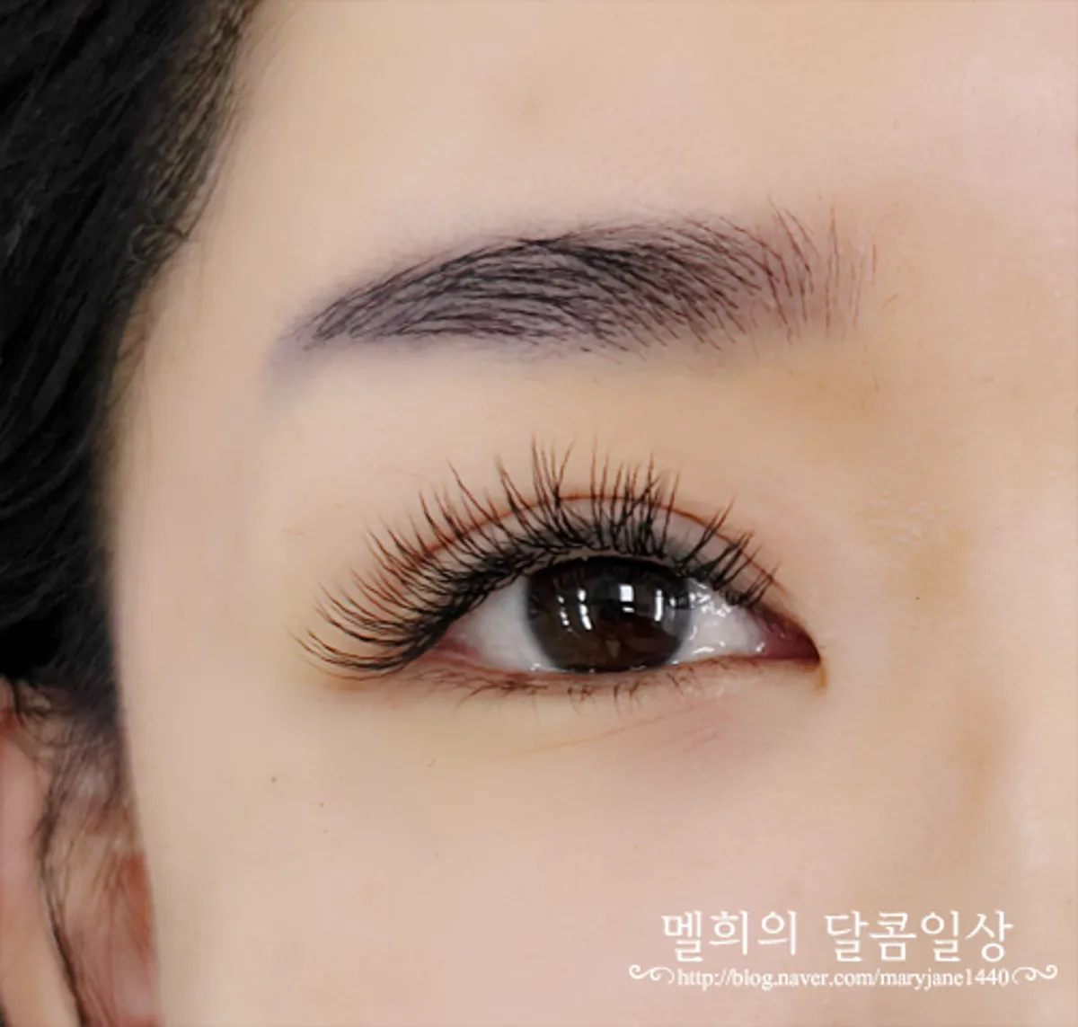 연장 일주일 후 유지된 속눈썹 상태