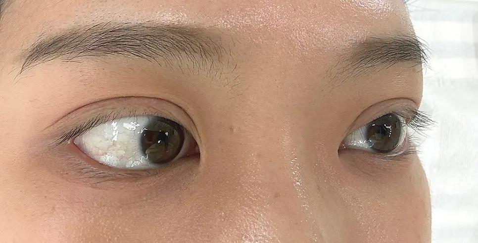 Reference materials showing lash types and curl options
