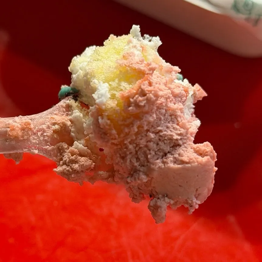 Cross-section of the Oreo-flavored milk cream lunchbox cake