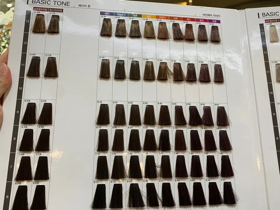 与Q设计师进行色卡1对1咨询