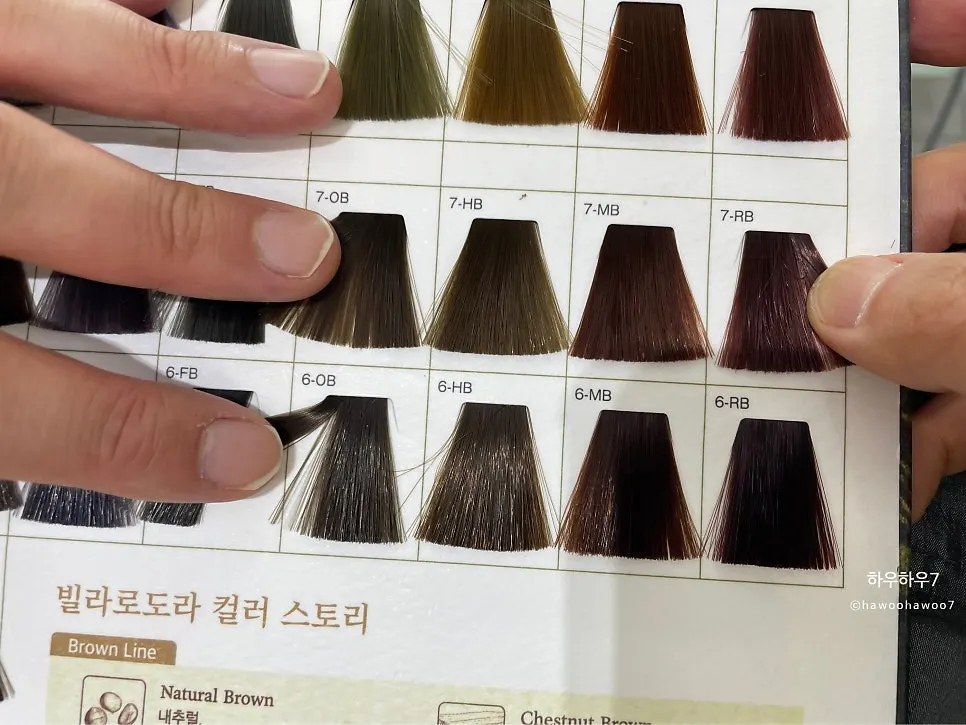 가을톤 염색 색상 선택 과정