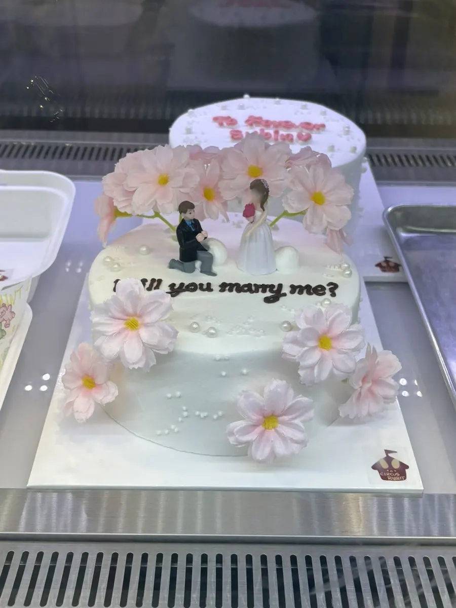 쇼케이스에 진열된 도시락 케이크들