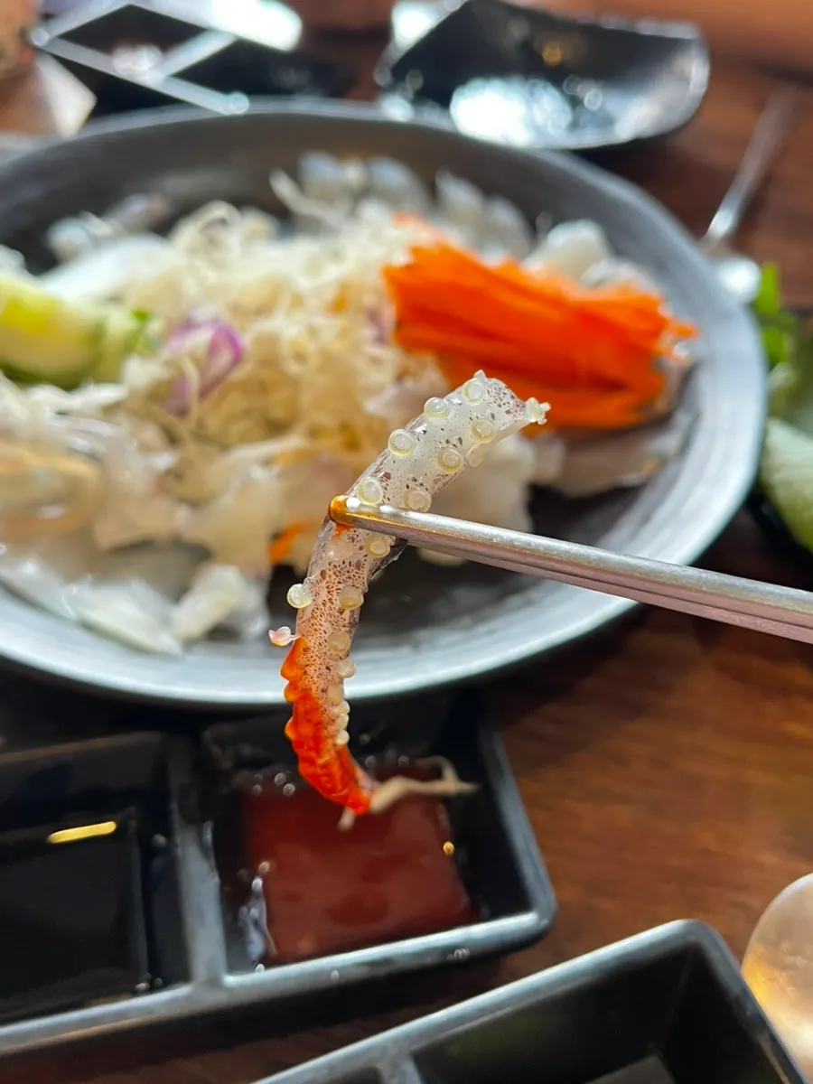 Fresh squid leg sashimi with live suckers