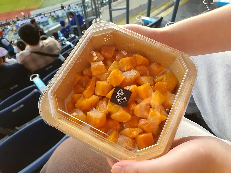 마무리로 꺼낸 빙동댕 망고빙수