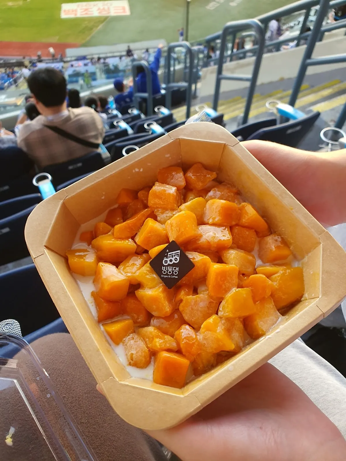망고가 듬뿍 올라간 빙동댕 망고빙수